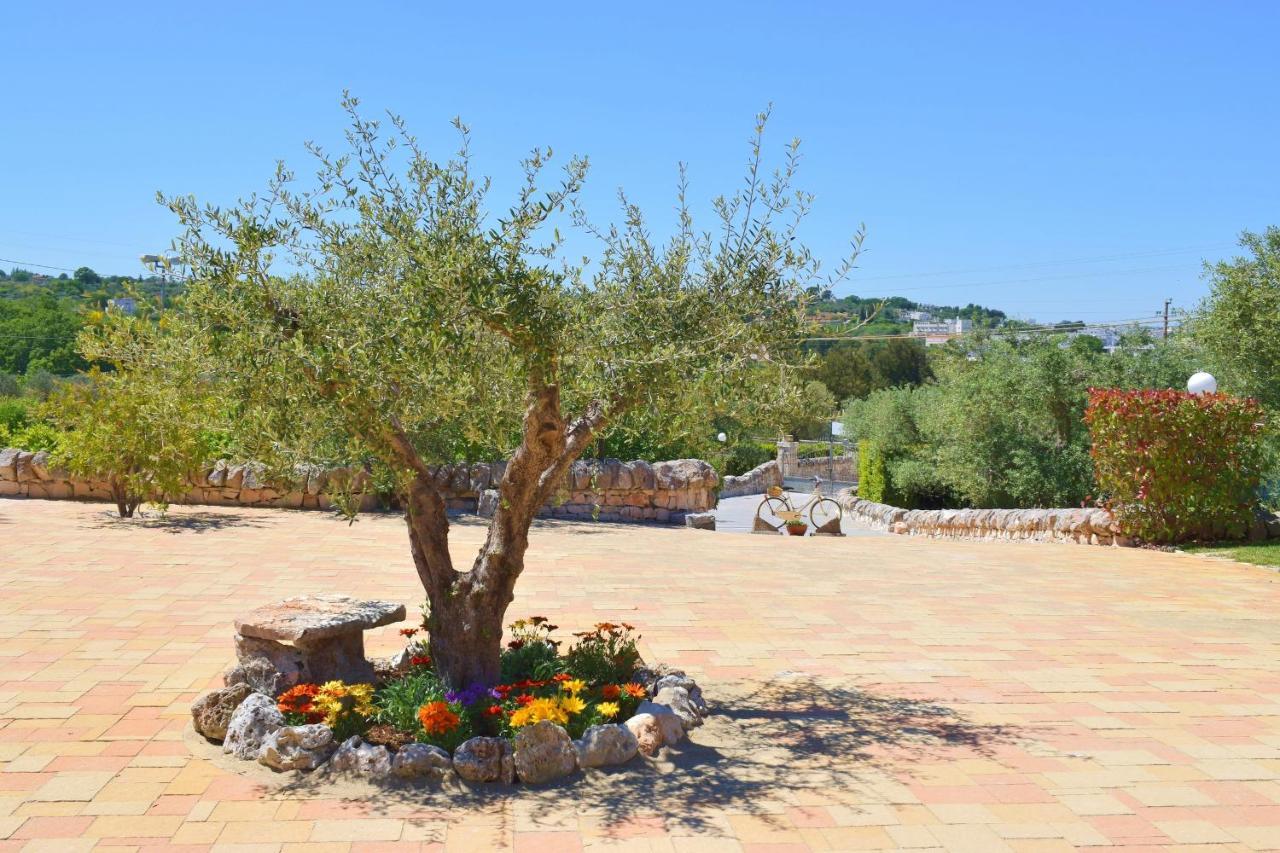 La Rosa Dei Trulli B&B Alberobello Exterior photo