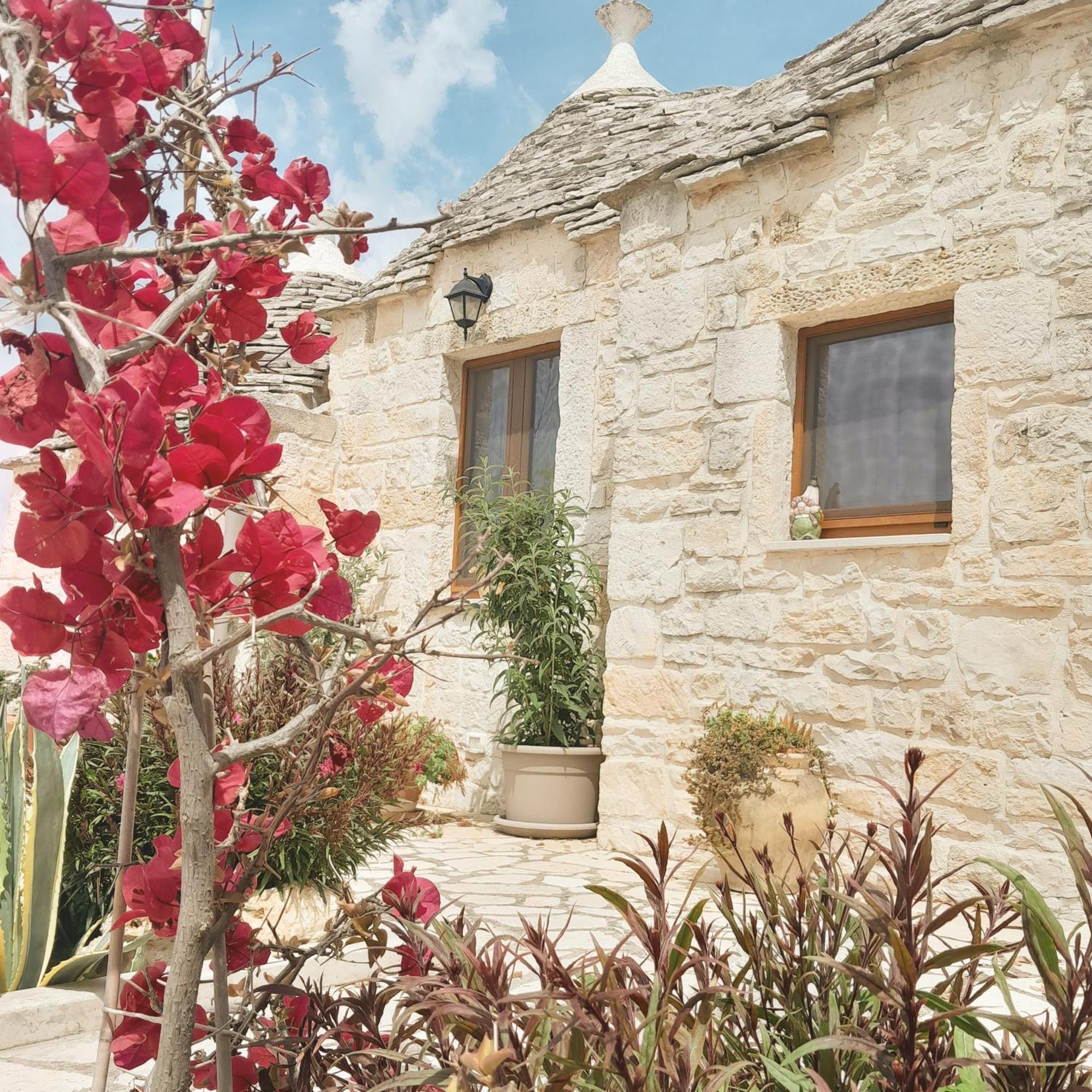 La Rosa Dei Trulli B&B Alberobello Exterior photo