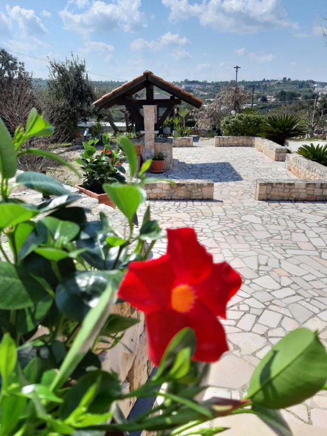 La Rosa Dei Trulli B&B Alberobello Exterior photo